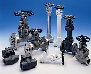 Forged Valves